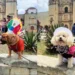 Perritos desfilan con trajes típicos de Oaxaca y llenan las redes de ternura