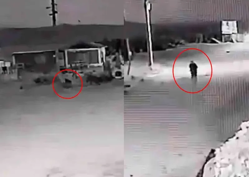 ¿Es un nahual? Captan aterrador momento en el que un perro se convierte en persona