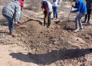¡Funesto hallazgo en Hermosillo! Localizan carbonera y tres fosas con restos humanos – NR | NOTICIAS