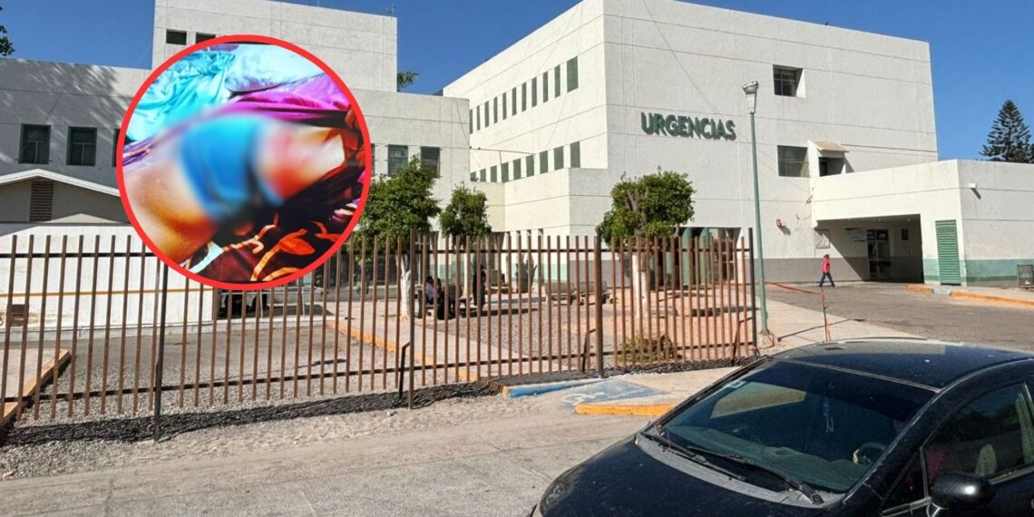 ¡No se han hecho responsables! SEMAR atropella a joven motociclista en Los Mochis – NR | NOTICIAS