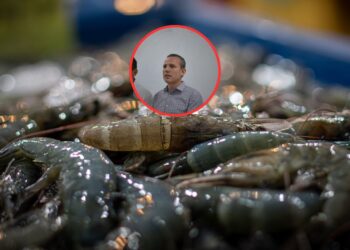 Permanecen operativos de vigilancia en la zona camaronera del norte de Sinaloa – NR | NOTICIAS