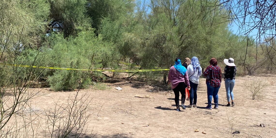 Madres Buscadoras de Sonora localizan cuerpo en Poblado Miguel Alemán