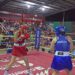 Noche de Puños reúne a los mejores boxeadores de la región en El Fuerte