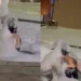 VIDEO: Mujer convierte fuente en ‘jacuzzi’ improvisado en Culiacán