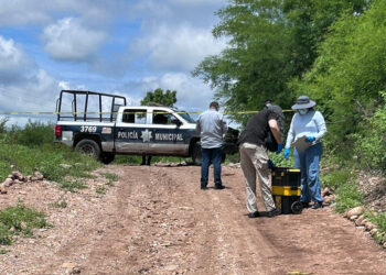 Al menos tres cuerpos han sido detectados en el sector Barrancos en Culiacán – NR | NOTICIAS