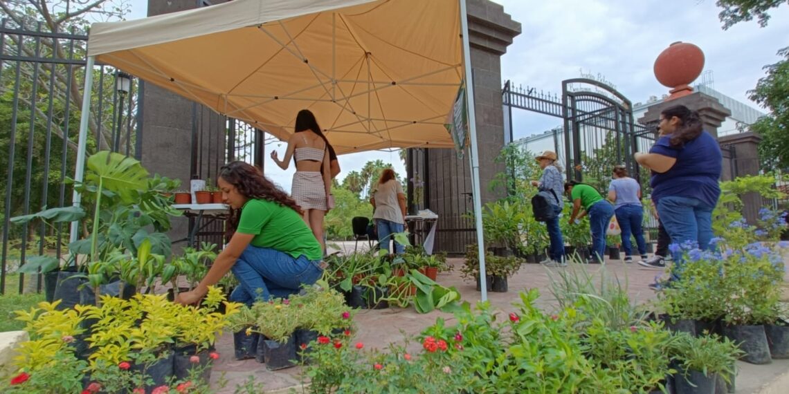 ¡Atentos! Bazar Botánico del Parque Sinaloa se llevará a cabo este sábado, 21 de septiembre – NR | NOTICIAS