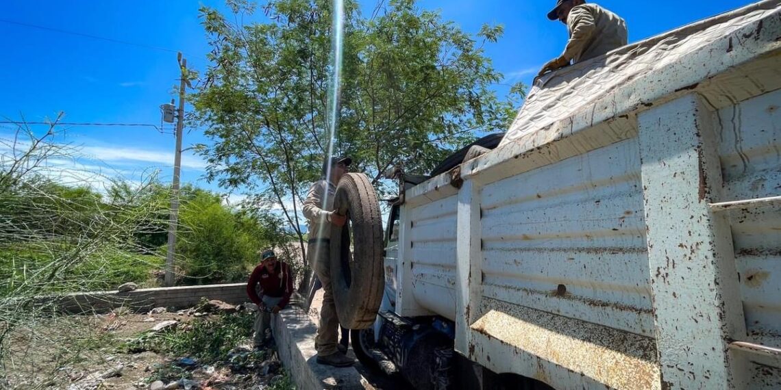¡Alerta!, El Fuerte en foco rojo por dengue