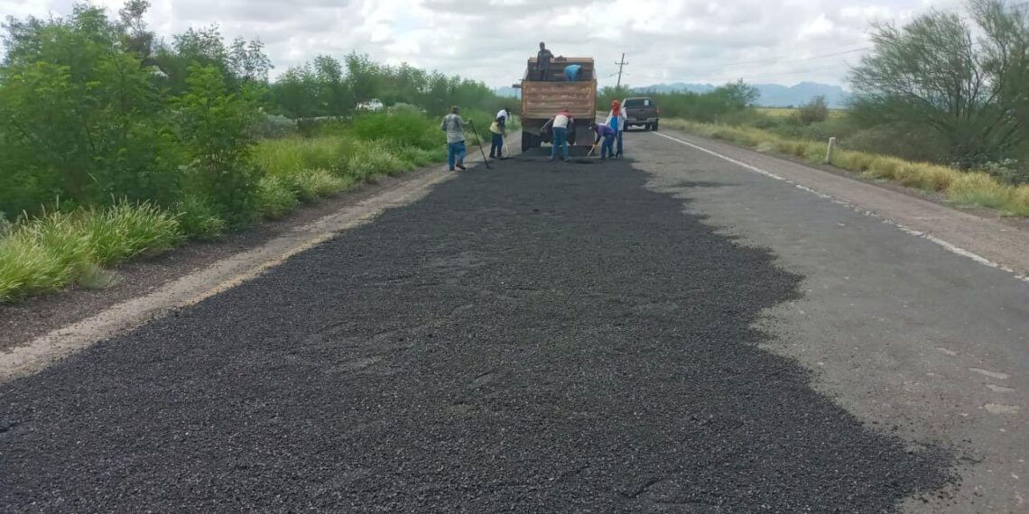 SOP Ahome bachea carretera México 15 en el valle de El Carrizo