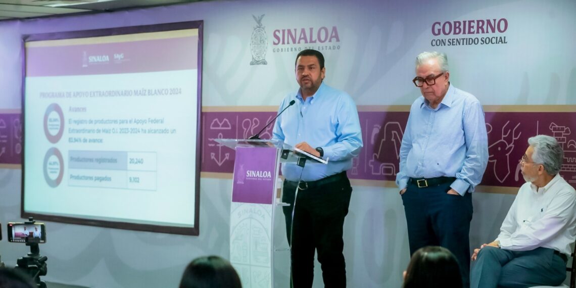 Ya van más de 9 mil productores de maíz pagados: Ismael Bello