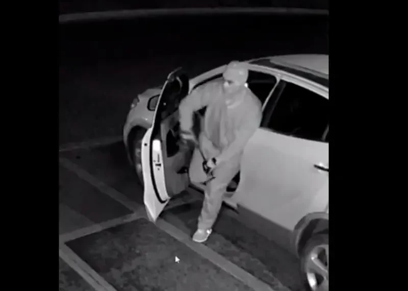 Roban negocio de Poncho De Nigris, quien pide ayuda pero las redes no le creen