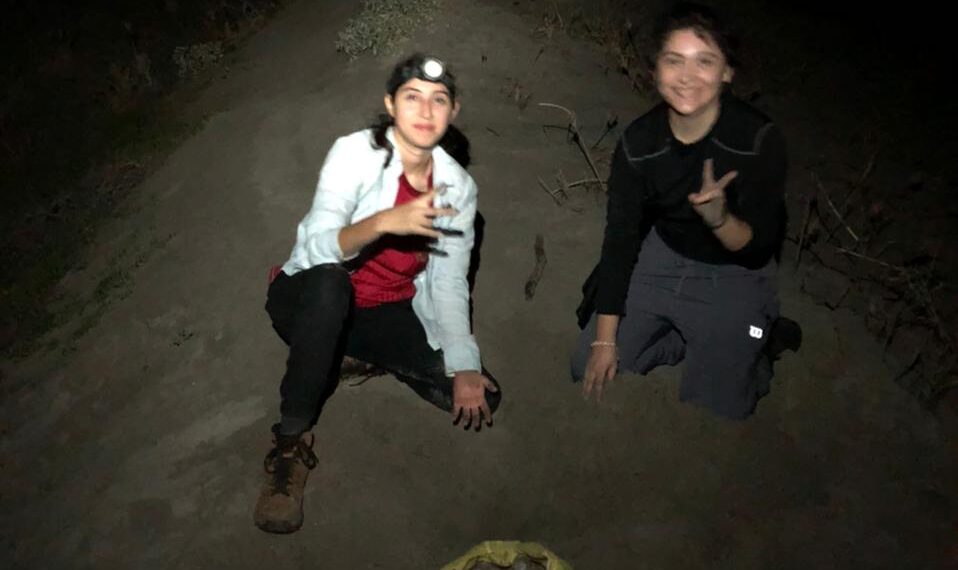 Desde el Programa de la Tortuga Marina en Playa Ceuta de la UAS se hizo la liberación de mil 400 crías, resultado de la anidación de 20 nidos