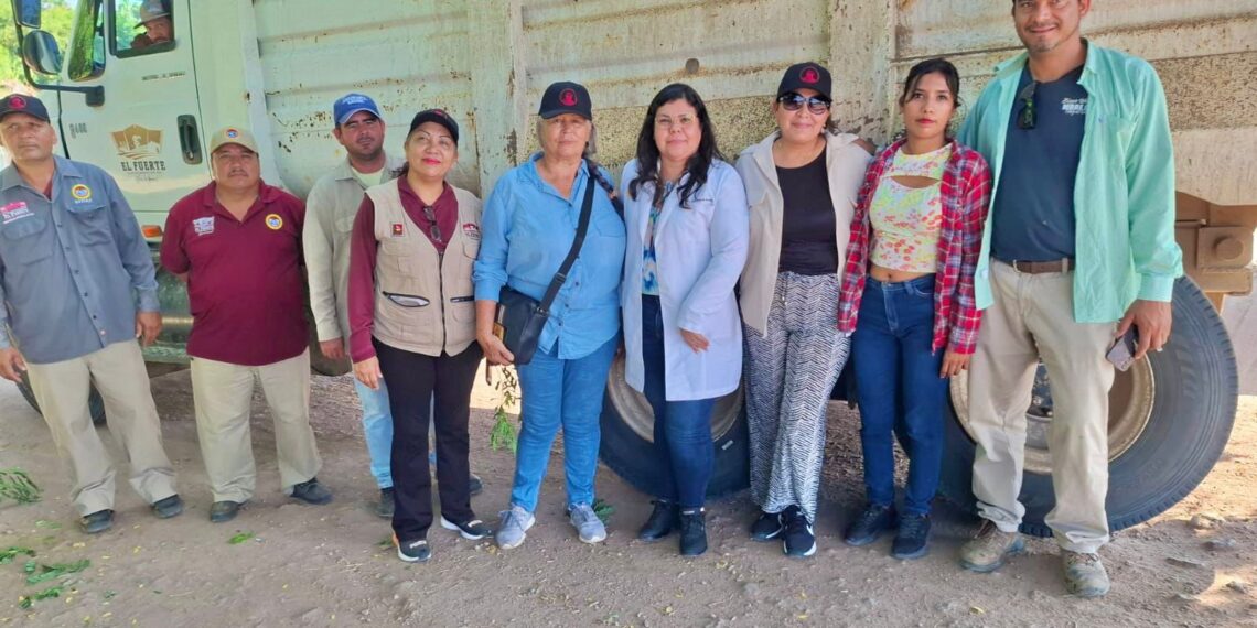 Gobierno de El Fuerte continúa con las Jornadas de Eliminación de Criaderos en comunidades del municipio