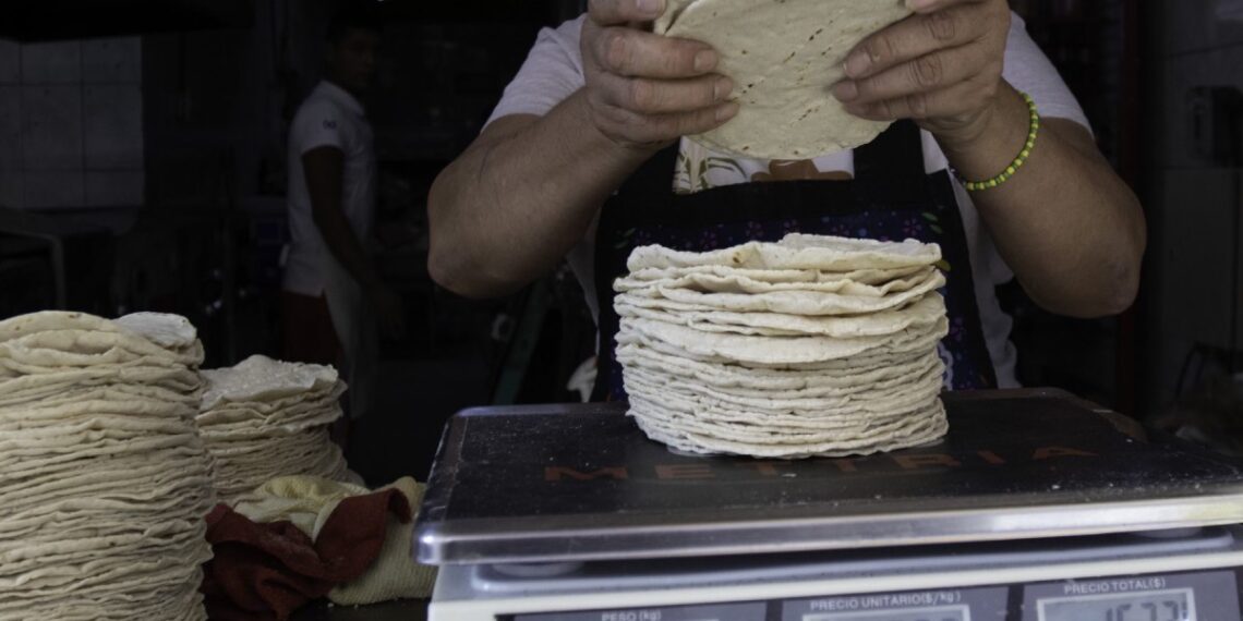 Gobierno promete bajar el precio de la tortilla en 10 % y autosuficiencia en maíz y frijol