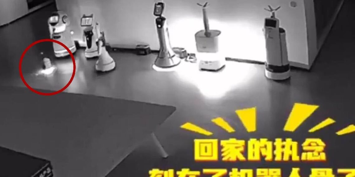 ¿Rebelión? Robot con IA convence a otros androides de dejar de trabajar. VIDEO