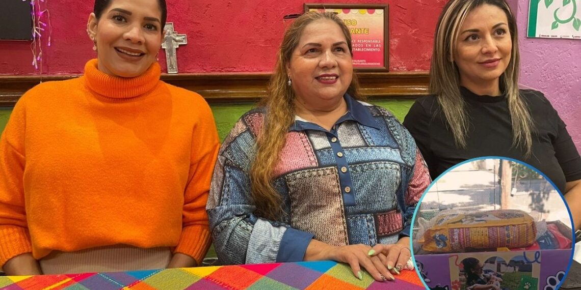 ¡Ayudemos todos! Forma parte del Croquetón Ángeles Sin Voz 2024 – NR | NOTICIAS