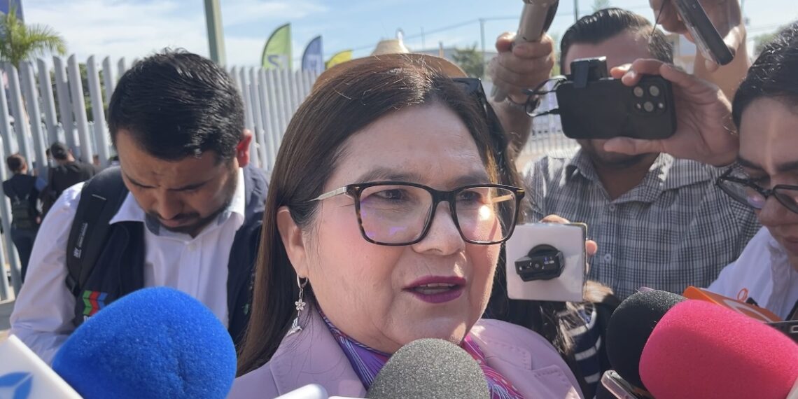Explotó una bomba de tiempo, no se puede culpar solo al gobernador por la inseguridad: Imelda Castro