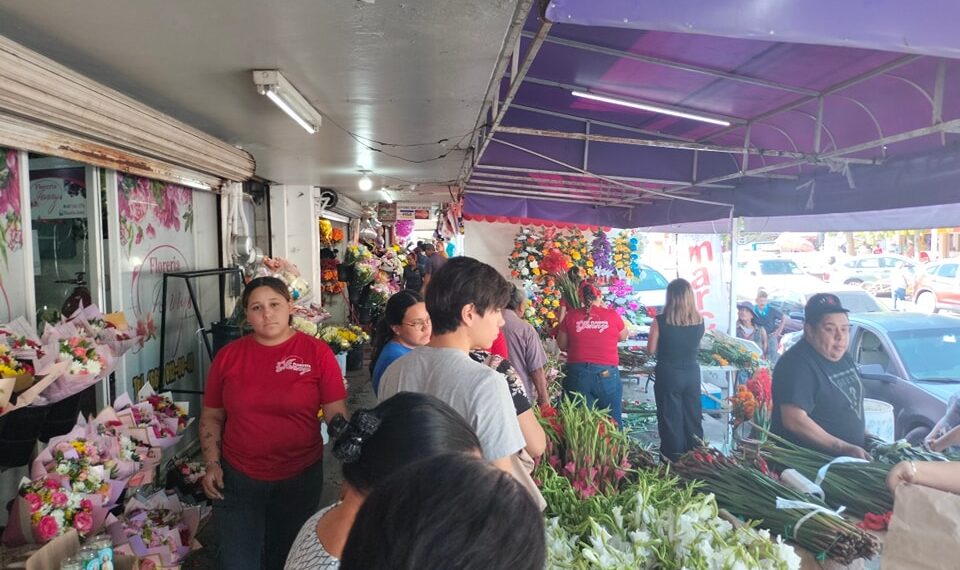 Reportan poca venta de flores en esta temporada de Día de Muertos – NR | NOTICIAS
