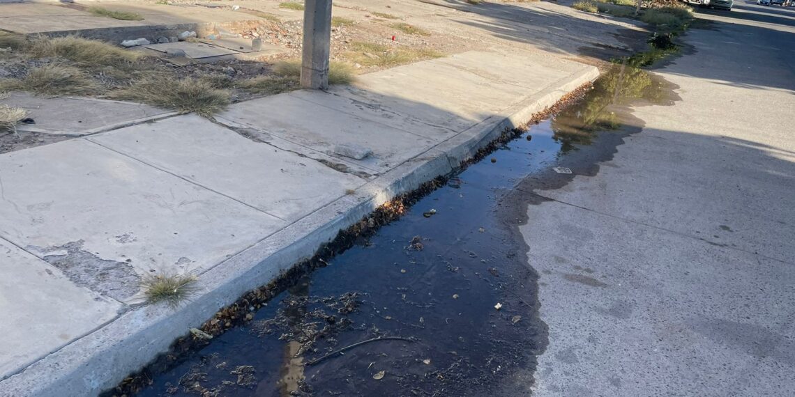 ¡Denuncia! Reportan fuga de agua potable en Aldama y Narciso Mendoza – NR | NOTICIAS