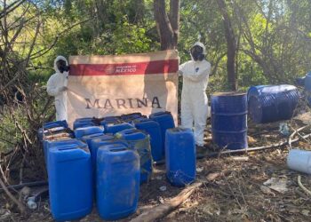 Gabinete de Seguridad del Gobierno de México informa acciones relevantes del miércoles 20 de noviembre de 2024 – NR | NOTICIAS