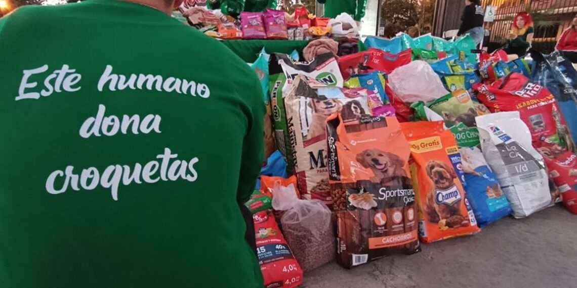 ¡Navidad para todos! Colecta de Croquetas 2024 en Los Mochis – NR | NOTICIAS