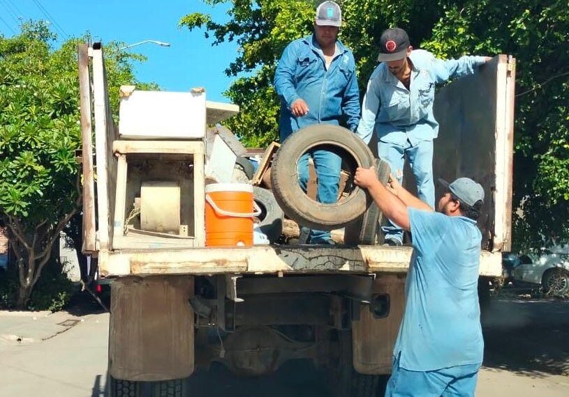 Salud Municipal recolecta 16 toneladas de desechos en exitosa campaña de descacharrización
