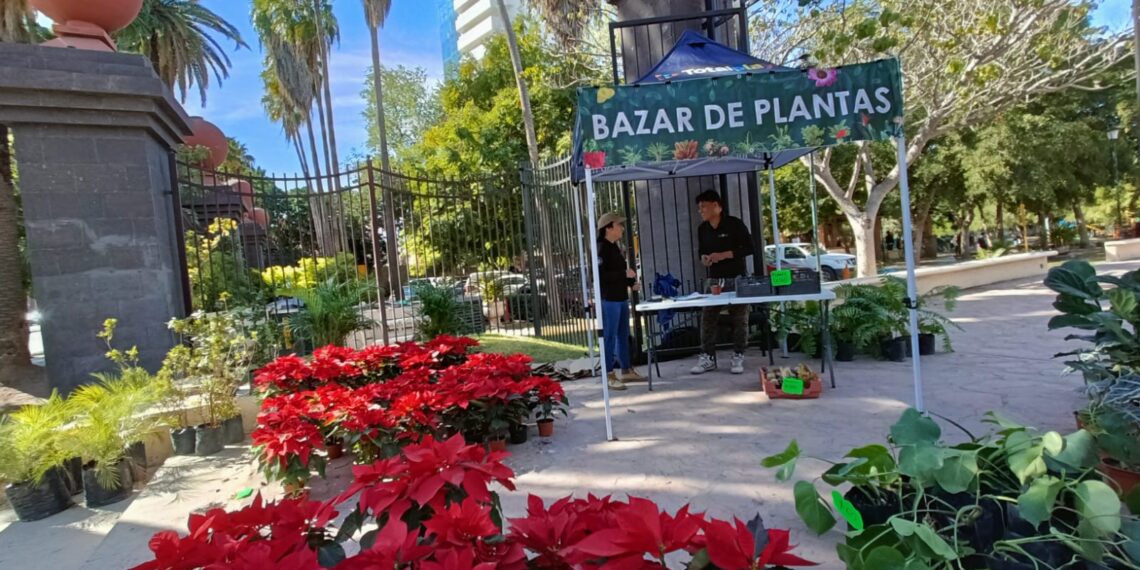 Invitan al último bazar de plantas en el Parque Sinaloa