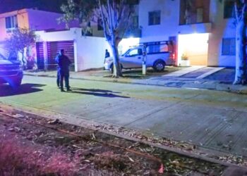 Madre e hijo asesinados en Los Mezcales fueron víctimas de apuñalamiento: SSPE