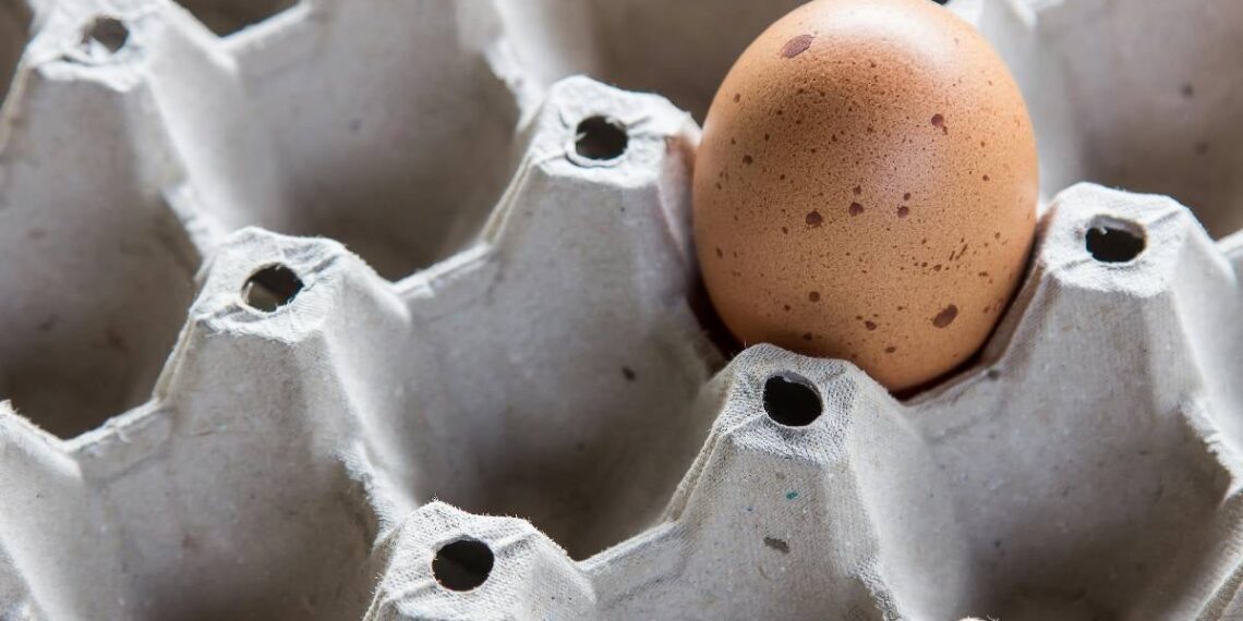 Detectan salmonela en miles de huevos del Costco en EU