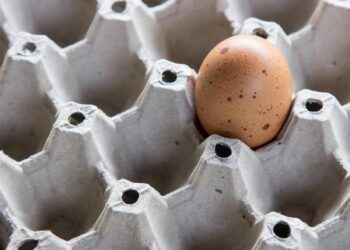 Detectan salmonela en miles de huevos del Costco en EU