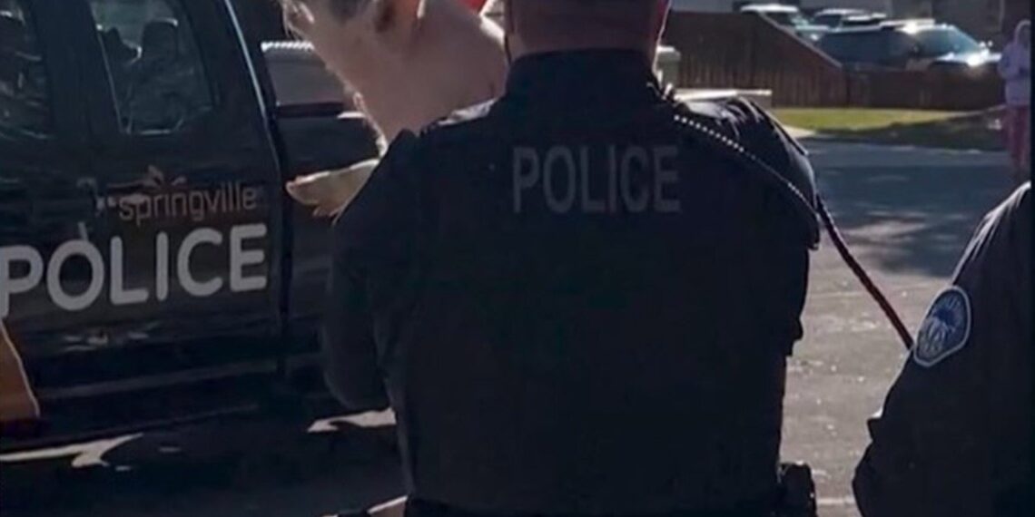 VIDEO: A Wilbur que lo agarran; cerdito protagonista persecución y pone en jaque a la policía