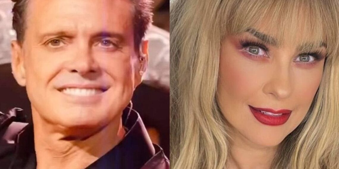 Hijo de Luis Miguel y Aracely Arámbula se lanzaría como cantante el próximo año