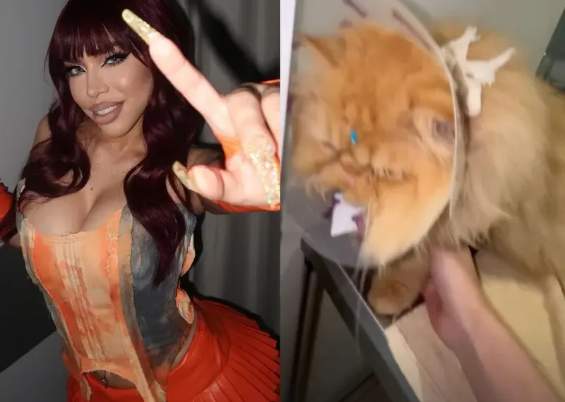 Acusan a Yeri Mua de maltrato animal a su gata; ella responde