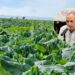 ¡Alerta ante las heladas! AARFS pide a los agricultores comprar sus aseguranzas – NR | NOTICIAS