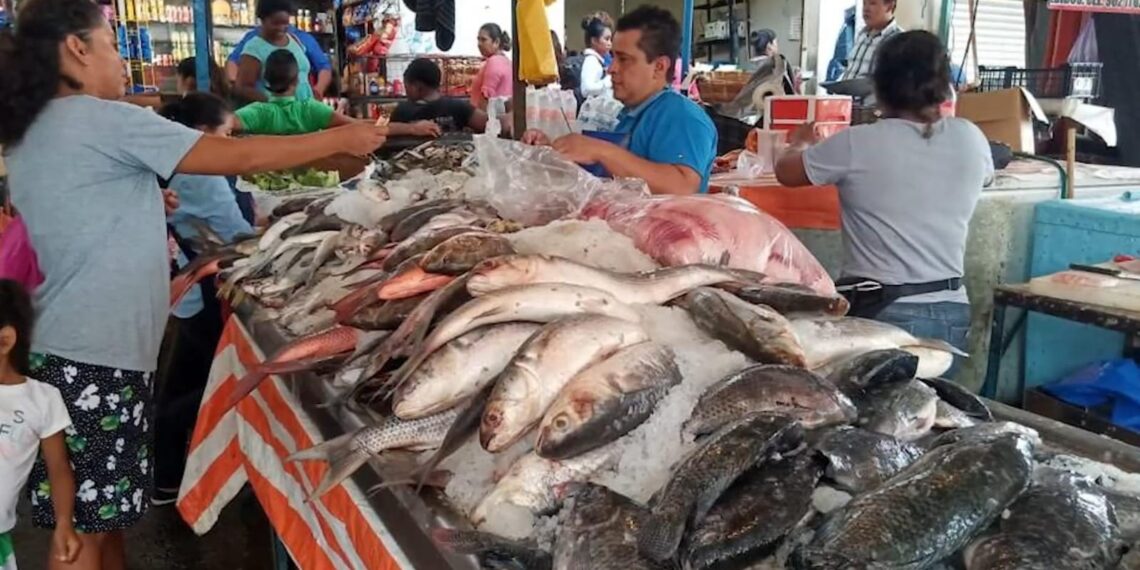 Necesario revisar los diversos factores y antecedentes para entender el problema de desigualdad de los alimentos en México, señala experta