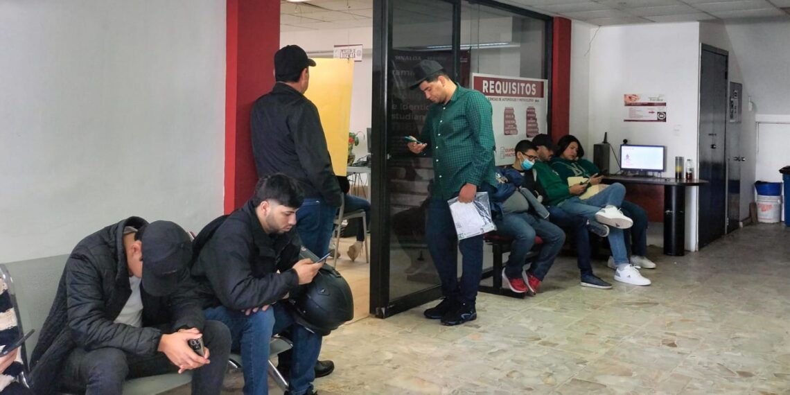 ¡Aún hay tiempo! Saca tu licencia de manejo con descuentos navideños – NR | NOTICIAS