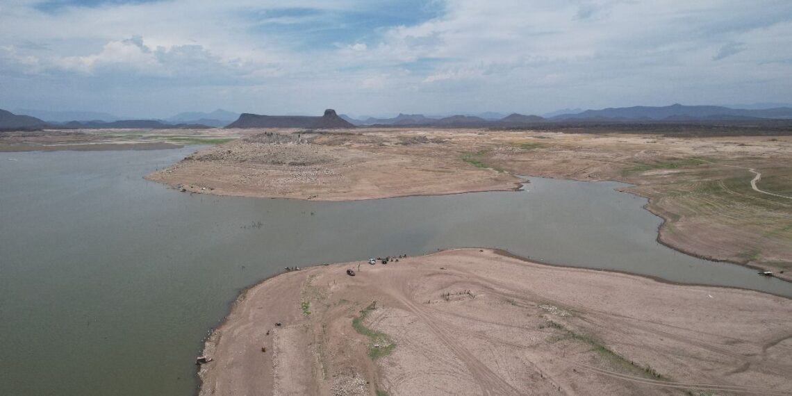 Por culminar el año 2024 con muchas adversidades; y con grandes desafíos para el sector agrícola en el próximo año: César Galaviz