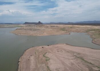 Por culminar el año 2024 con muchas adversidades; y con grandes desafíos para el sector agrícola en el próximo año: César Galaviz