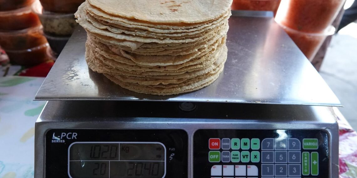 ¿Taquitos sin tortillas? Precio del maíz se disparará en 2025 