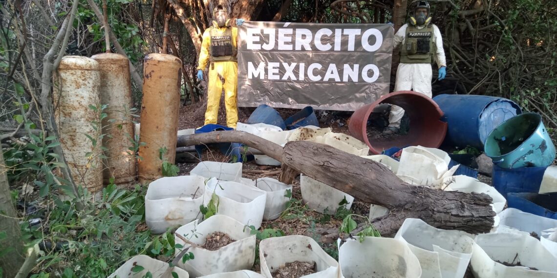 El Gabinete de Seguridad del Gobierno de México informa acciones relevantes del 29 y 30 de noviembre y 01 de diciembre de 2024 – NR | NOTICIAS