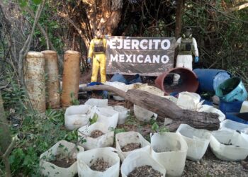 El Gabinete de Seguridad del Gobierno de México informa acciones relevantes del 29 y 30 de noviembre y 01 de diciembre de 2024 – NR | NOTICIAS