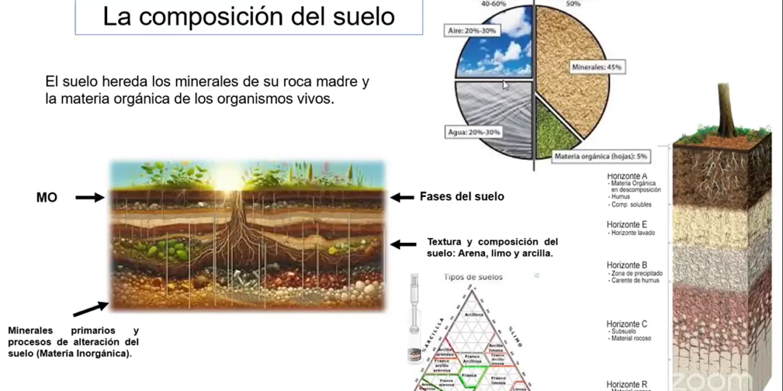 El 95 por ciento de los alimentos provienen del suelo, de ahí la necesidad de su cuidado, conservación y sostenibilidad agrícola, expuso investigadora