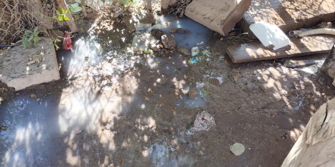 ¡Una asquerosidad! Vecinos del Ejido Compuertas claman a gritos la ayuda de Japama – NR | NOTICIAS