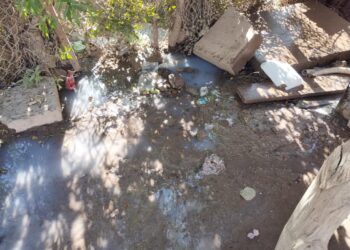 ¡Una asquerosidad! Vecinos del Ejido Compuertas claman a gritos la ayuda de Japama – NR | NOTICIAS