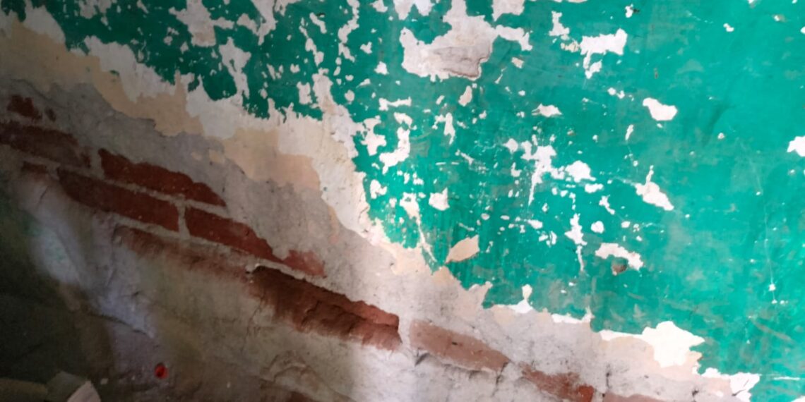 La humedad carcome la primaria Gabriel Leyva Solano – NR | NOTICIAS