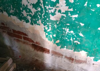 La humedad carcome la primaria Gabriel Leyva Solano – NR | NOTICIAS