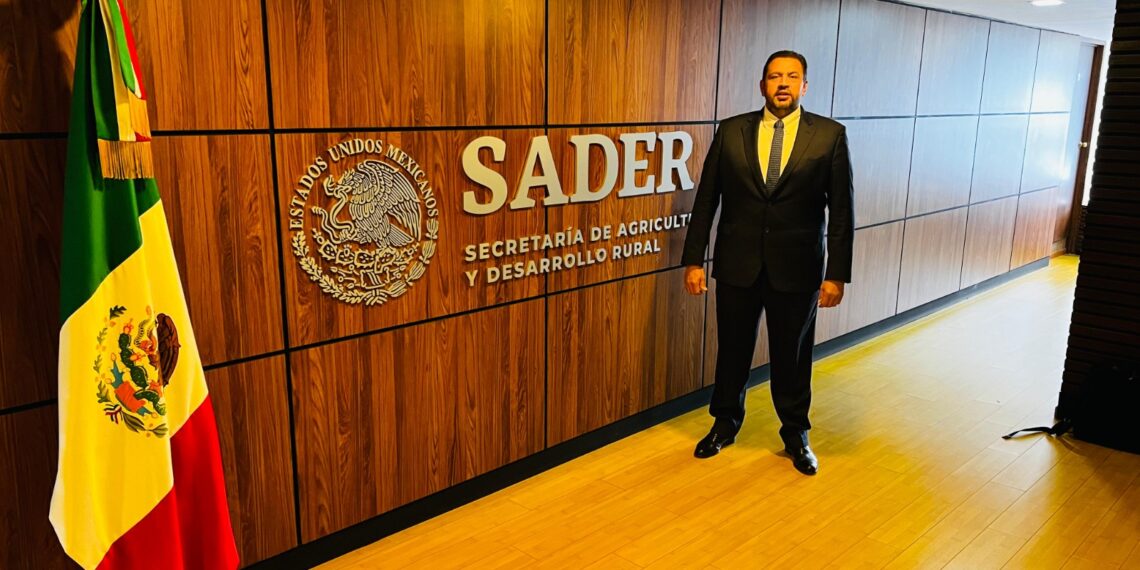 Se amplía el registro ante Segalmex para el pago de los 750 pesos del maíz: anuncia Ismael Bello Esquivel