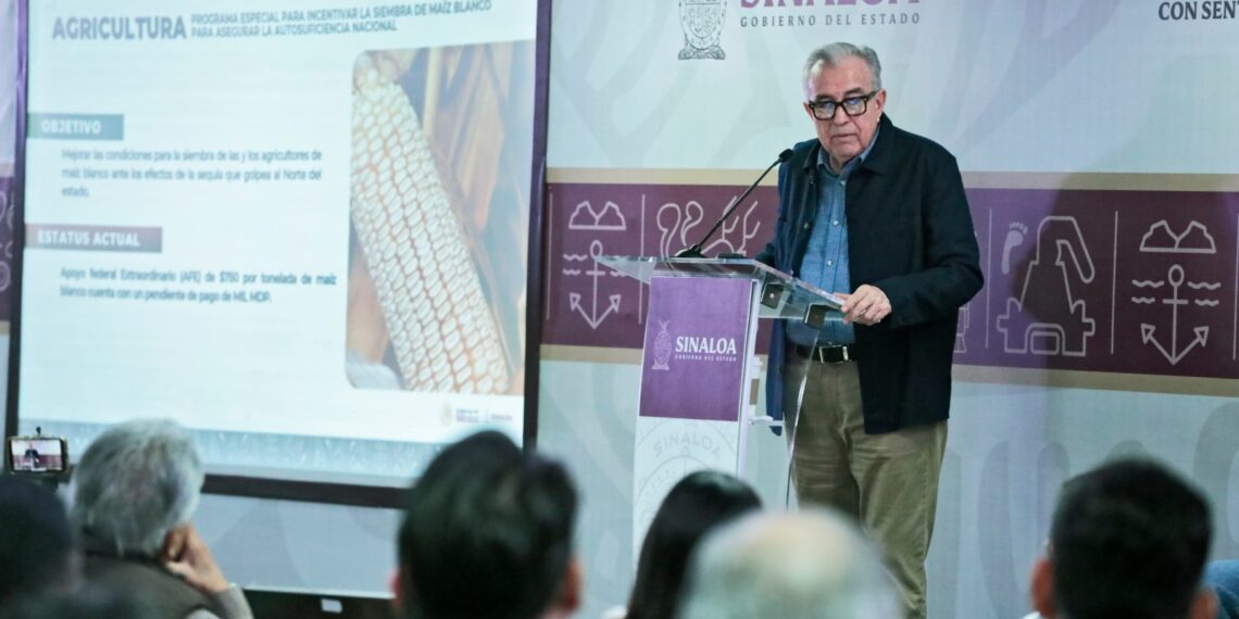 Se pagará a los productores de maíz antes de que finalice el año: Rocha