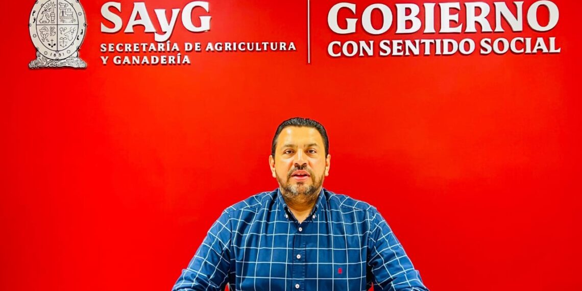 Anuncia Bello Esquivel ampliación de fecha a productores de trigo para registrar y solventar observaciones