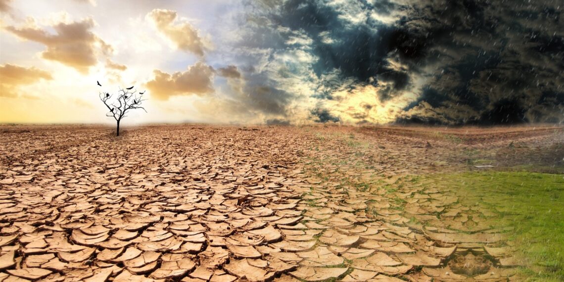 El mundo necesita mil mdd diarios para combatir desertificación y sequía hasta 2030