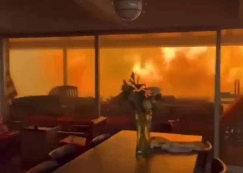 Inquietante video muestra a dos hombres y su perrito atrapados en su casa en medio de incendios en California